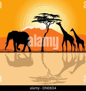 Paysage africain à l'heure du coucher du soleil avec des girafes et des éléphants. Illustration de Vecteur