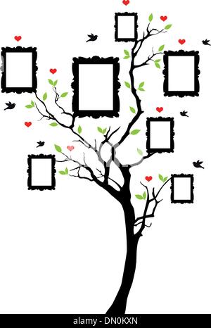 Arbre généalogique avec frames, vector Illustration de Vecteur