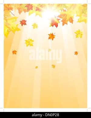 Automne feuilles d'érable Illustration de Vecteur
