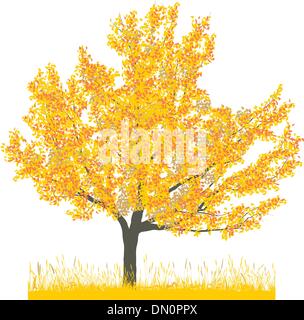 Cherry Tree in autumn Illustration de Vecteur