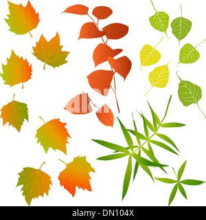 Collecte des feuilles, pour les concepteurs Illustration de Vecteur