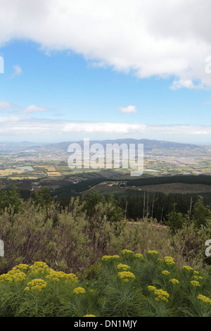 Vue aérienne de Paarl et des fermes environnantes et les montagnes prises à partir du Toitskloof Col Banque D'Images