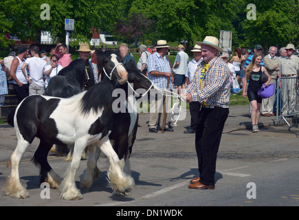 Les voyageurs Tsiganes avec les chevaux. Appleby Horse Fair, juin 2013. Appleby-in-Westmorland, Cumbria, Angleterre, Royaume-Uni, Europe. Banque D'Images