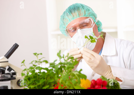 Un chercheur de légumes OGM Banque D'Images