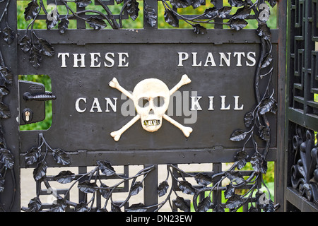 Jardin poison à jardin d'Alnwick, Northumberland, England, UK. Banque D'Images