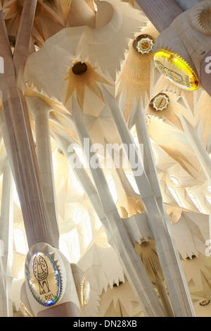 Intérieur de la Sagrada Familia Temple par Antoni Gaudi. Barcelone, Espagne. Banque D'Images