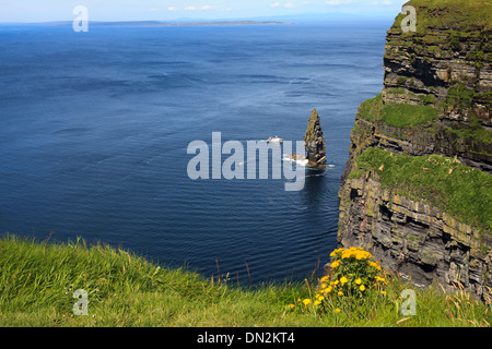 Falaises de Moher, le Burren, comté de Clare, Irlande Banque D'Images