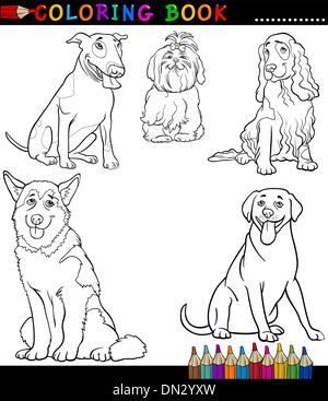 Les chiens et les chiots dessin à colorier Illustration de Vecteur