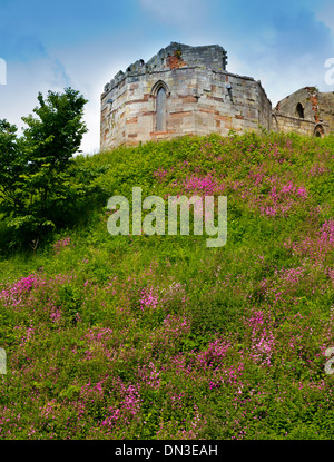 Les ruines de château de Stafford Staffordshire England UK un donjon de pierre néo-gothique construite sur les fondations médiévales d'origine Banque D'Images