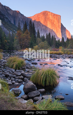 Soleil du soir sur El Capitan au-dessus de la rivière Merced, Yosemite Valley, Yosemite National Park, California, USA. Banque D'Images