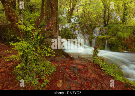 Urbasa Urederra Rivière, Parc Naturel. Urederra rivière près de sa source, Navarra. Baquedano, Navarre, Espagne. Banque D'Images