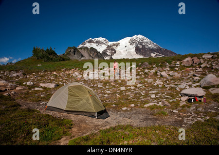 WASHINGTON - Camping dans les prés de l'Tokaloo Zone alpine du mont Rainier National Park. Banque D'Images