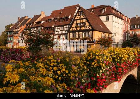 La France, l'Elk213-2734 Alsace, Colmar, Petit Venise de maisons à colombages Banque D'Images