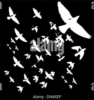 Fond noir vie oiseaux vector art Illustration de Vecteur