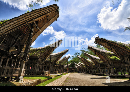 Kete Kesu de Tana Toraja de Sulawesi du Sud, Banque D'Images