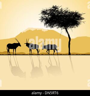 Paysage africain de la flore et de la faune dans l'heure du coucher du soleil à antilopes. Illustration de Vecteur