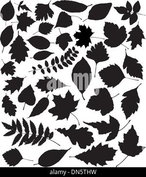 Vector silhouettes noires de feuilles Illustration de Vecteur