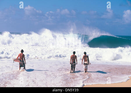 Déc 01, 2005 ; North Shore, Oahu, Hawaii, USA ; surfers non identifiés en attente de trouver leur chemin vers le monde célèbre spot de surf sur la côte nord d'Oahu. Pipeline a coûté la vie au jeune surfeur tahitien, MALIK JOYEUX, le vendredi 2 décembre 2005 après avoir balayé sur la première vague d'un ensemble et a peut-être été assommé par son conseil et se sont noyés. (Crédit obligatoire de droit : Dan moi Banque D'Images