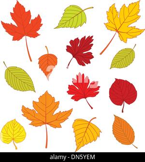 Les feuilles d'automne on white Illustration de Vecteur