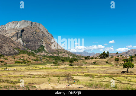 Paysage, rizières en terrasses de la peuple Betsileo avec un grand rocky mountain, Anja-Park près d'Ambalavao, Madagascar Banque D'Images