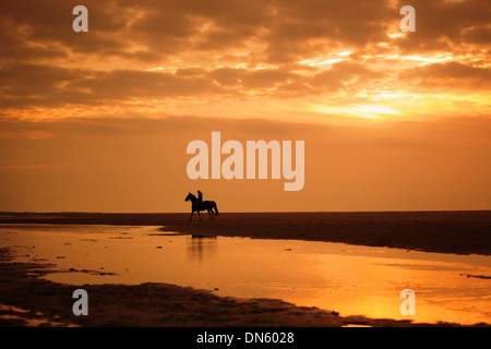 Au coucher du soleil cavalier sur la plage de Borkum, Basse-Saxe, Allemagne Banque D'Images