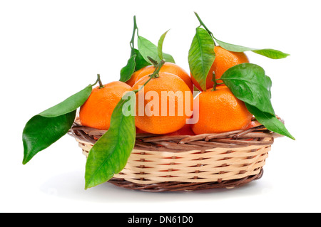 Certains segments de mandarines dans un panier sur un fond blanc Banque D'Images