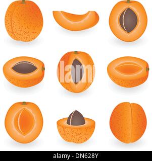 Abricot Icon Set Illustration de Vecteur