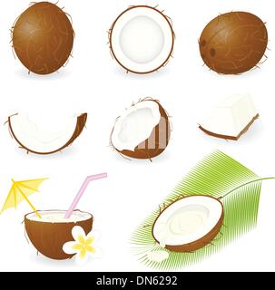 Noix de coco Illustration de Vecteur