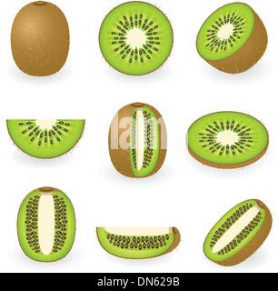 Kiwi Illustration de Vecteur