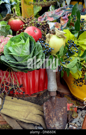 Détail de l'affichage à l'jardin Fleur d'automne montrent Yorkshire Harrogate Banque D'Images