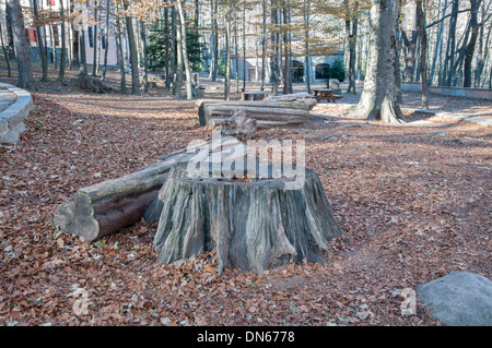 Pique-nique dans les montagnes fait ​​The arbres Banque D'Images