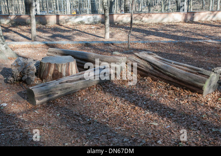 Pique-nique dans les montagnes fait ​​The arbres Banque D'Images
