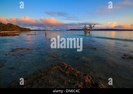 Image tôt le matin de la plage de Vijaynagar à Havelock Island - (Andaman, Inde) Banque D'Images