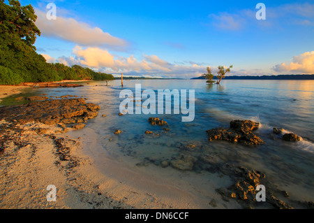 Image tôt le matin de la plage de Vijaynagar à Havelock Island - (Andaman, Inde) Banque D'Images