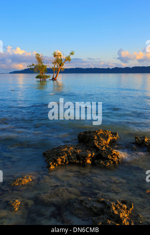 Image tôt le matin de la plage de Vijaynagar à Havelock Island - (Andaman, Inde) Banque D'Images