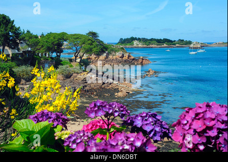 Ile-de-Bréhat (île de Bréhat) dans les Côtes-d'Armor, Bretagne Banque D'Images