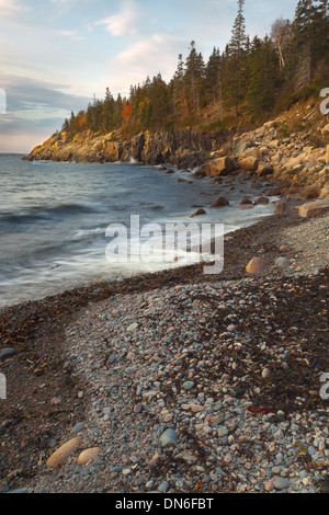 Les chasseurs Beach, Maine Banque D'Images