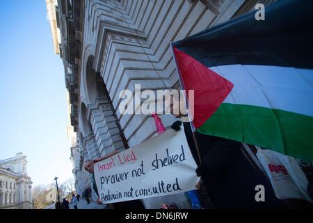 Londres, Royaume-Uni. Dec 19, 2013. Rassemblement contre le plan de suppression d'Israël 40 000 Bédouins de leurs terres ancestrales Crédit : Gail Orenstein/ZUMAPRESS.com/Alamy Live News Banque D'Images