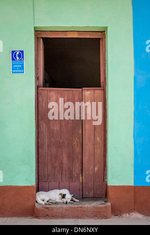 Sleeping Dog, Trinidad, Cuba Banque D'Images