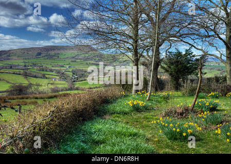 Chalet jardin près de château blanc, Monmouthshire, Wales. Banque D'Images