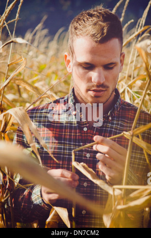 Young man standing in cornfield, portrait Banque D'Images