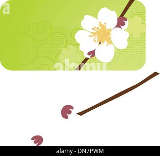 Fleur de cerisier, sakura fleur. Illustration de Vecteur
