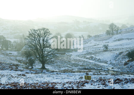 Gamme Epynt, Cambrian Mountains, Pays de Galles, Royaume-Uni. 20 décembre 2013. Après les chutes de neige d'hier sur la haute terre et une nuit de gel, la température augmente à nouveau avec la pluie commence à faire fondre la neige. Credit : Graham M. Lawrence/Alamy Live News. Banque D'Images