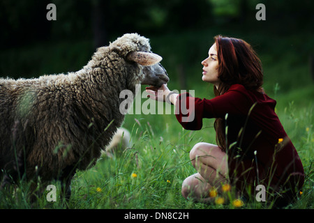 Jeune femme avec des moutons dans un pré Banque D'Images