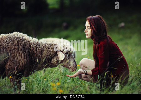 Jeune femme avec des moutons dans un pré Banque D'Images