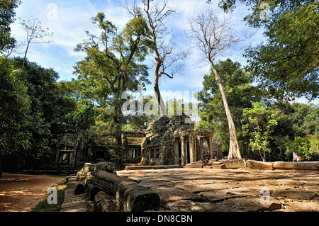 Ta Prohm porte d'entrée Banque D'Images