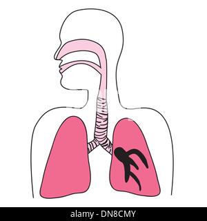 Schéma du système respiratoire humain Illustration de Vecteur