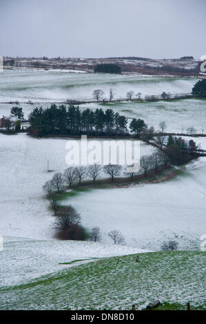 Gamme Epynt, Cambrian Mountains, Pays de Galles, Royaume-Uni. 20 décembre 2013. Une question marque est faite par une ligne d'arbres. Après les chutes de neige d'hier sur la haute terre et une nuit de gel, la température augmente à nouveau avec la pluie commence à faire fondre la neige. Credit : Graham M. Lawrence/Alamy Live News. Banque D'Images