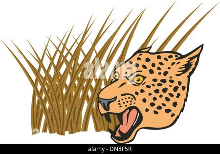 Tête de léopard Illustration de Vecteur