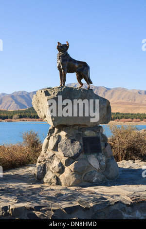 Statue de Collie berger par Innes Elliott travaille Collie chiens de Mackenzie Country par Lake Tekapo, Nouvelle-Zélande Banque D'Images